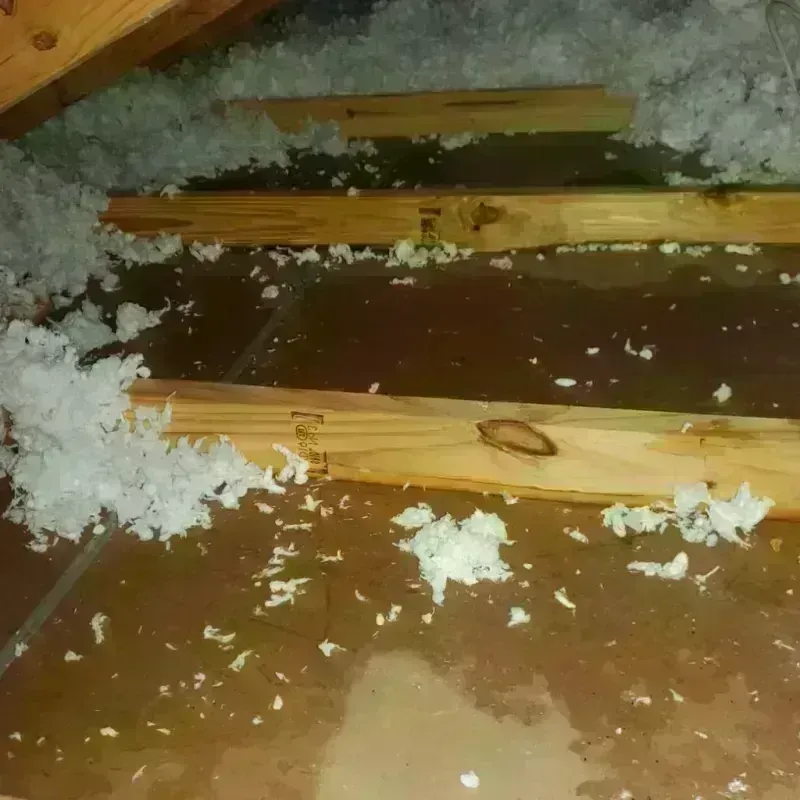 Attic Water Damage in Carbon County, PA